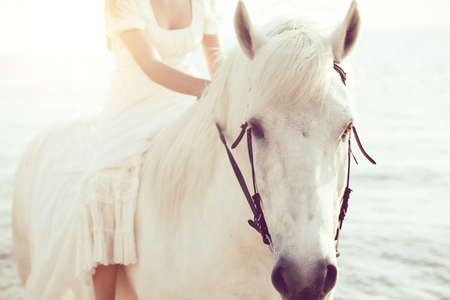 Girl in white dress with horse on the beachの写真素材