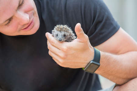 Young man with hedgehog babyの写真素材