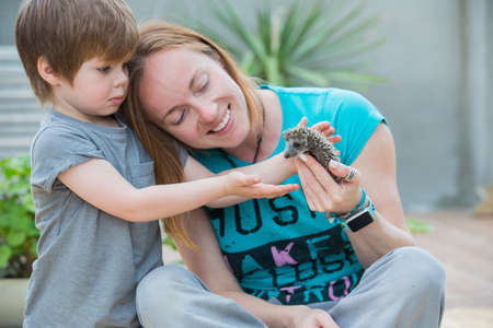 Young woman with son playing with hedgehog babyの写真素材