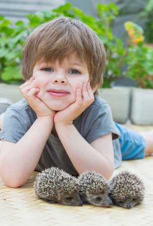 Little boy playing with hedgehogの写真素材