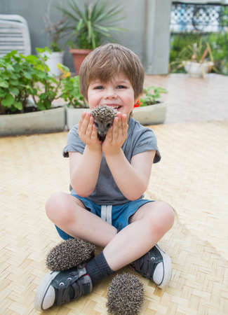 Little boy playing with hedgehogの写真素材