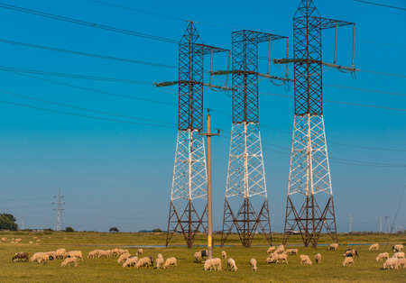 Power pylons and high voltage lines in an agricultural landscape in Bulgaria