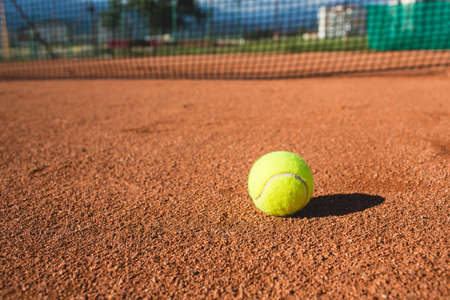 Tennis ball on a court.の写真素材