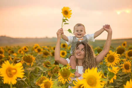 Mother with baby son in sunflower fieldの写真素材
