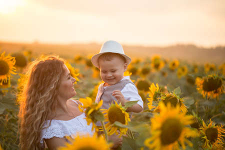 Mother with baby son in sunflower fieldの写真素材
