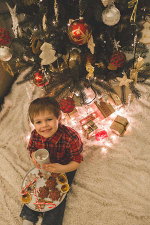 Boy laying under christmas tree with chocolate drink.の写真素材