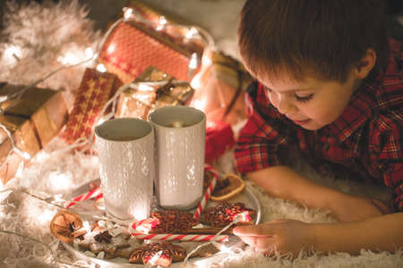 Boy laying under christmas tree with chocolate drink.の写真素材