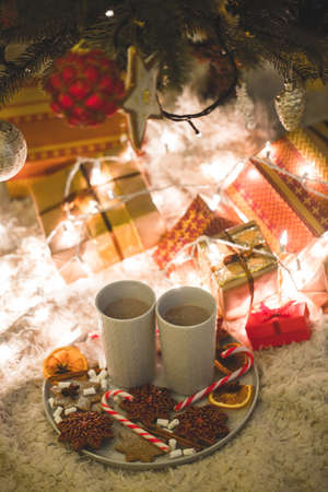Hot chocolate drink with biscuits under the christmas treeの写真素材