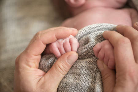 The hands of the child in the hands of the parent