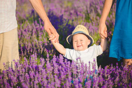 Young family in a lavender fieldの写真素材