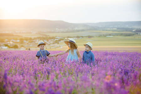 Three happy children in lavender fieldの写真素材