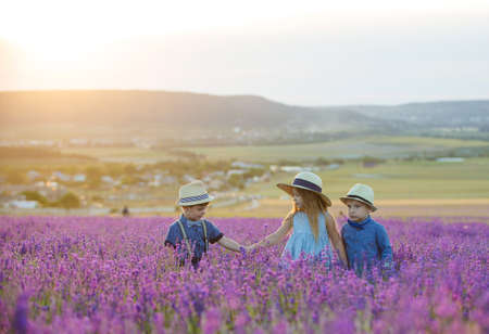 Three happy children in lavender fieldの写真素材