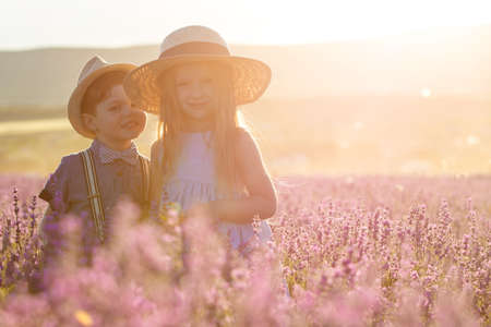 Brother and sister in lavender fieldの写真素材