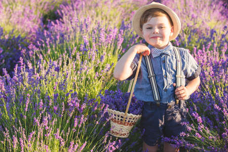 Happy boy in lavender fieldの写真素材