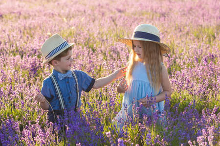 Brother and sister in lavender fieldの写真素材