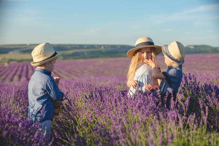 Three happy children in lavender fieldの写真素材