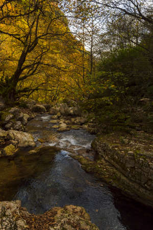 Chrousia Stream flowing through a Creek live with Autumn colors.の写真素材