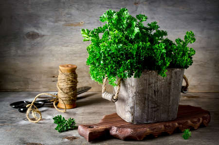 Parsley in wooden box on rustic backgroundの写真素材