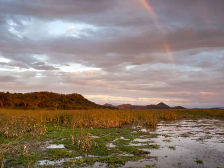 Sunset over Palo Verde National Park in Costa Ricaの写真素材