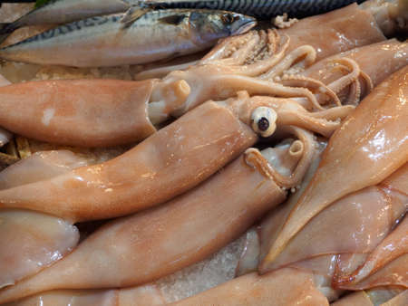 Fresh calamari and mackerel at the Central Market in Athensの写真素材