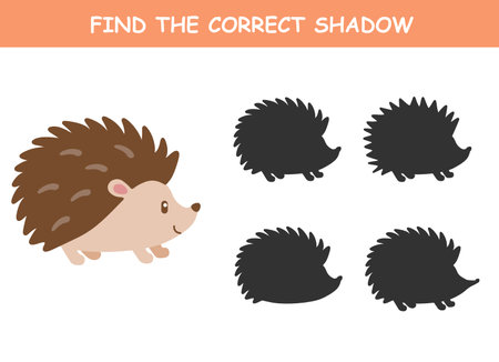 Find the correct shadow of the cute illustration of hedgehog. Educational logic game for children. Printable worksheet. Cute hedgehog.の写真素材
