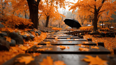 Wooden path in the autumn park with umbrella and fallen maple leavesの素材