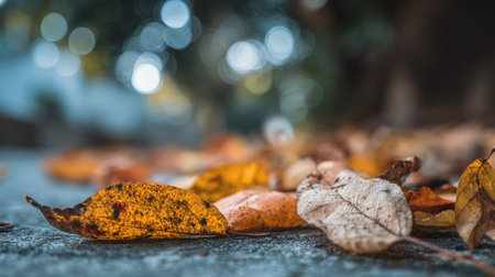 Fallen leaves on the ground in autumn. Selective focus.の素材
