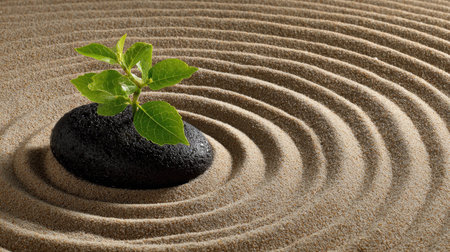 zen garden meditation stone and plant on sand background with copy space for textの素材