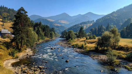 Beautiful mountain landscape with a mountain river in the Carpathiansの素材