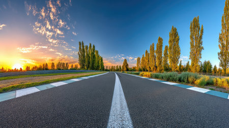 Asphalt road and cypress trees at sunset. Landscape.の素材