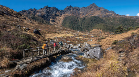 Hikers on a wooden bridge over a mountain stream in New Zealandの素材