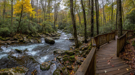 Wooden boardwalk in the autumn forest leading to a waterfall.の素材