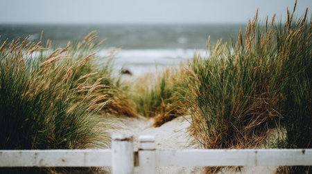 Wooden fence on the beach with grass and sea in the backgroundの素材