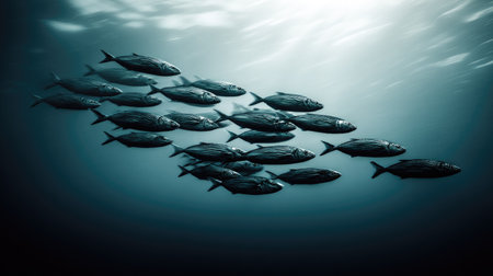 School of fish in the deep blue sea. Underwater world.の素材