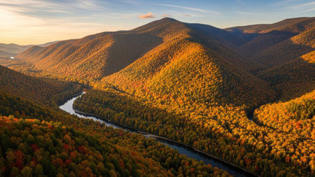 Aerial panoramic view of autumn forest and river in mountainsの素材