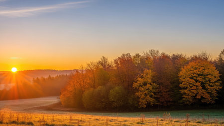 Sunrise over a meadow in autumn with trees in the foregroundの素材