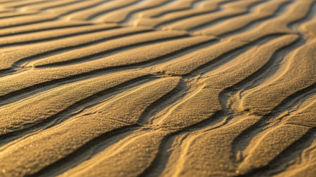 the texture of the sand dunes in the desert. abstract backgroundの素材