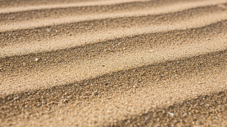 Sand texture background. Close up of sand pattern. Sand texture backgroundの素材