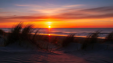 Sunset on the Baltic Sea with dunes and grass in foregroundの素材
