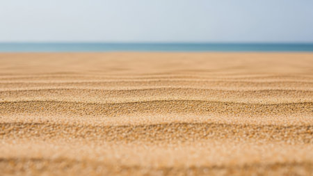 Close-up of sand dunes on the beach, shallow depth of fieldの素材