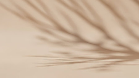 Shadow overlay effect for photo and mockups. 3D rendering.の素材