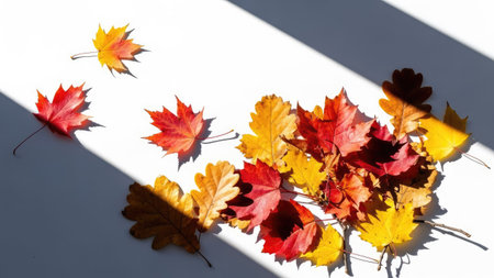 Colorful autumn leaves on white background. Flat lay, top viewの素材