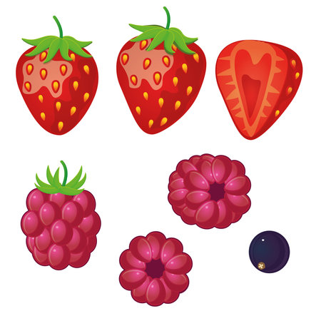 Berries in a flat style on a white background. Isolated. Strawberries, raspberries, black currants....