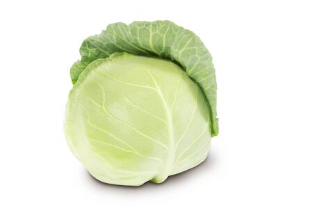 Single head of white cabbage isolated  on a white backgroundの写真素材