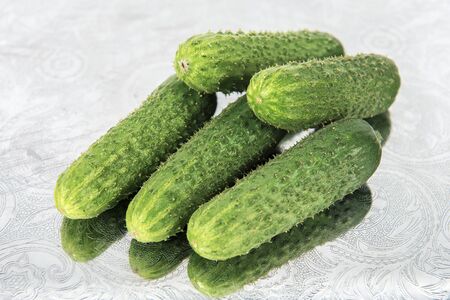 Group of fresh green pickling cucumbers on metal tray with folk ornamentの写真素材