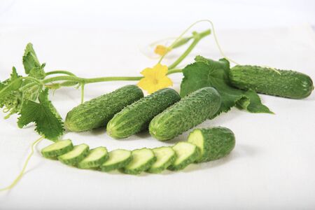 Group of fresh green pickling cucumbers with slices and brunch with yellow flower isolated on white backgroundの写真素材