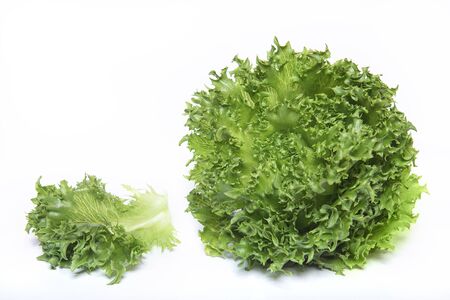 Fresh green head of lettuÑe and a leaf isolated on white backgroundの写真素材