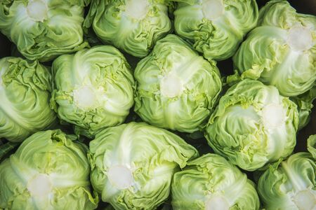 Texture of white cabbage heads prepared for fresh market sales, top wiev.の写真素材