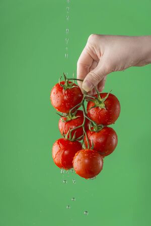 Female hands washing tomatoes on the green saturated background. Concept of the importance of washing vegetables under quarantineの写真素材