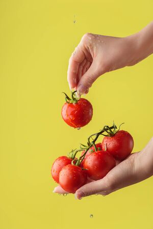 Female hands washing red tomatoes on the yellow saturated background. Concept of the importance of washing vegetables under quarantineの写真素材